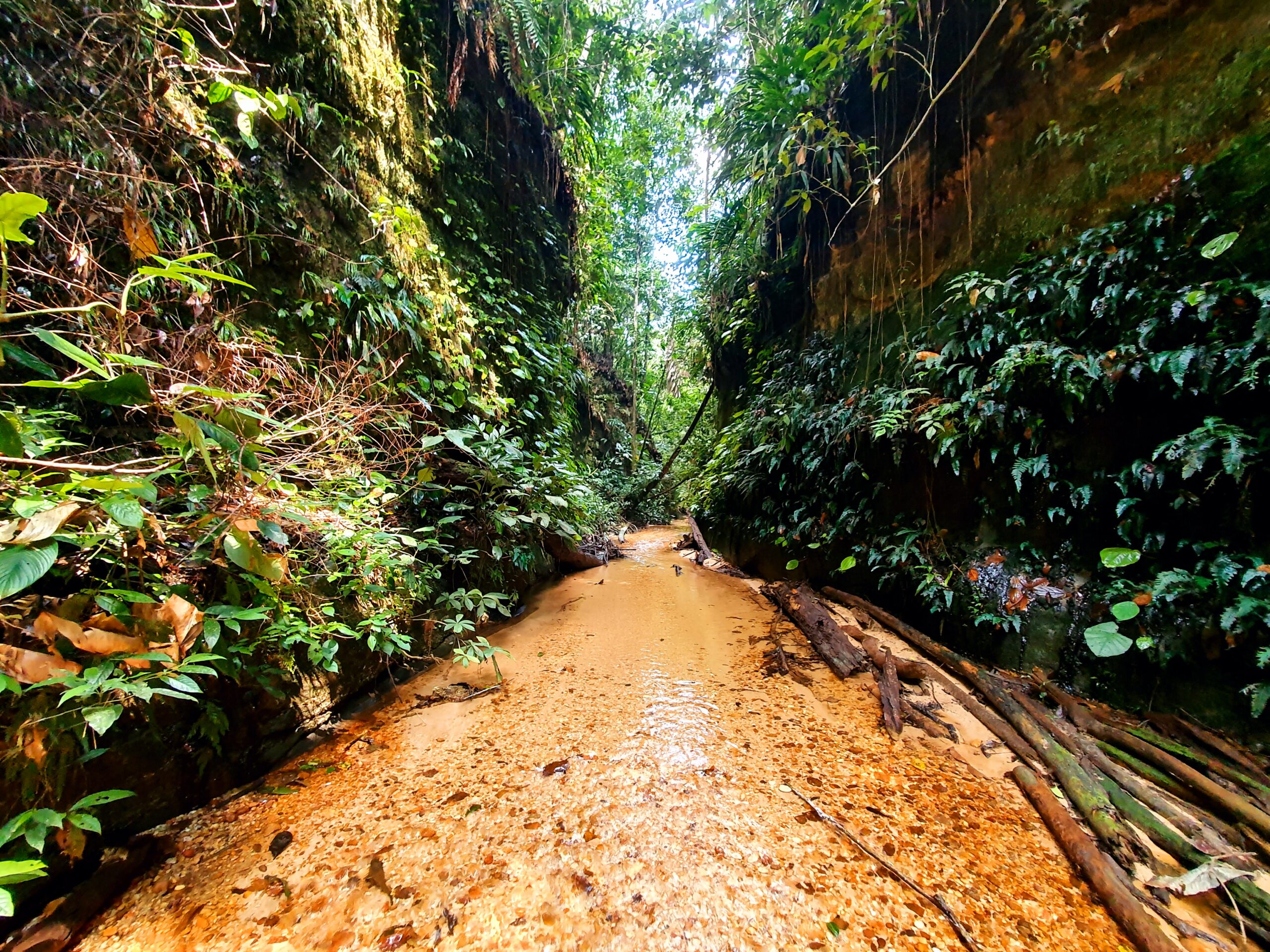 MAGICAL TRAVEL COLLECTION 