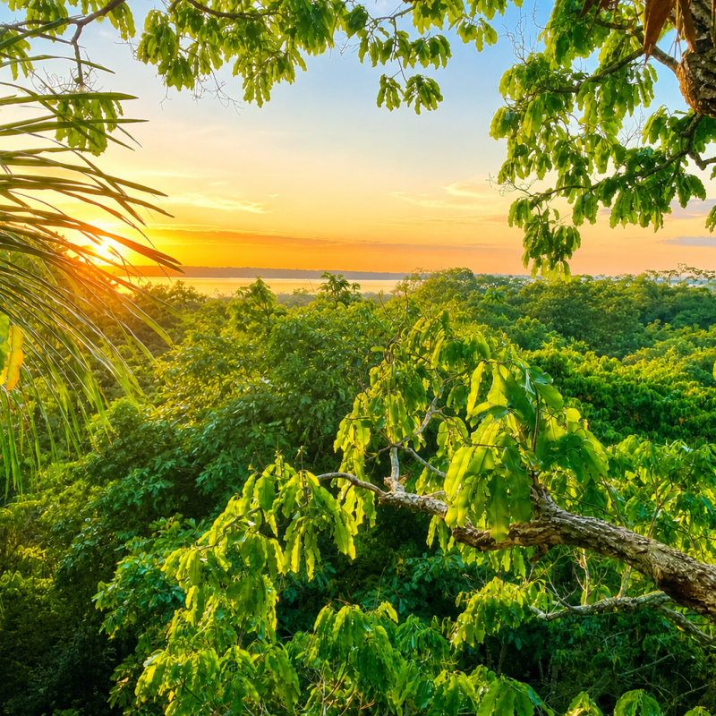Amazonas